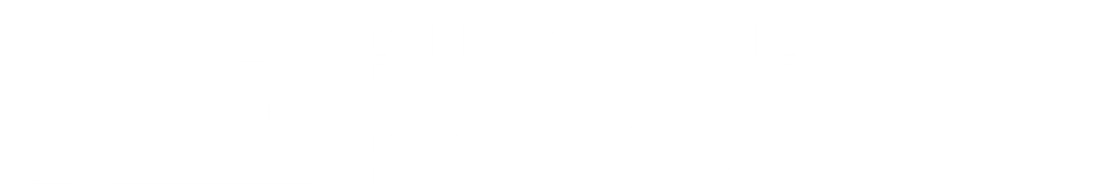 Puyallup Roofing Logo White Transparent